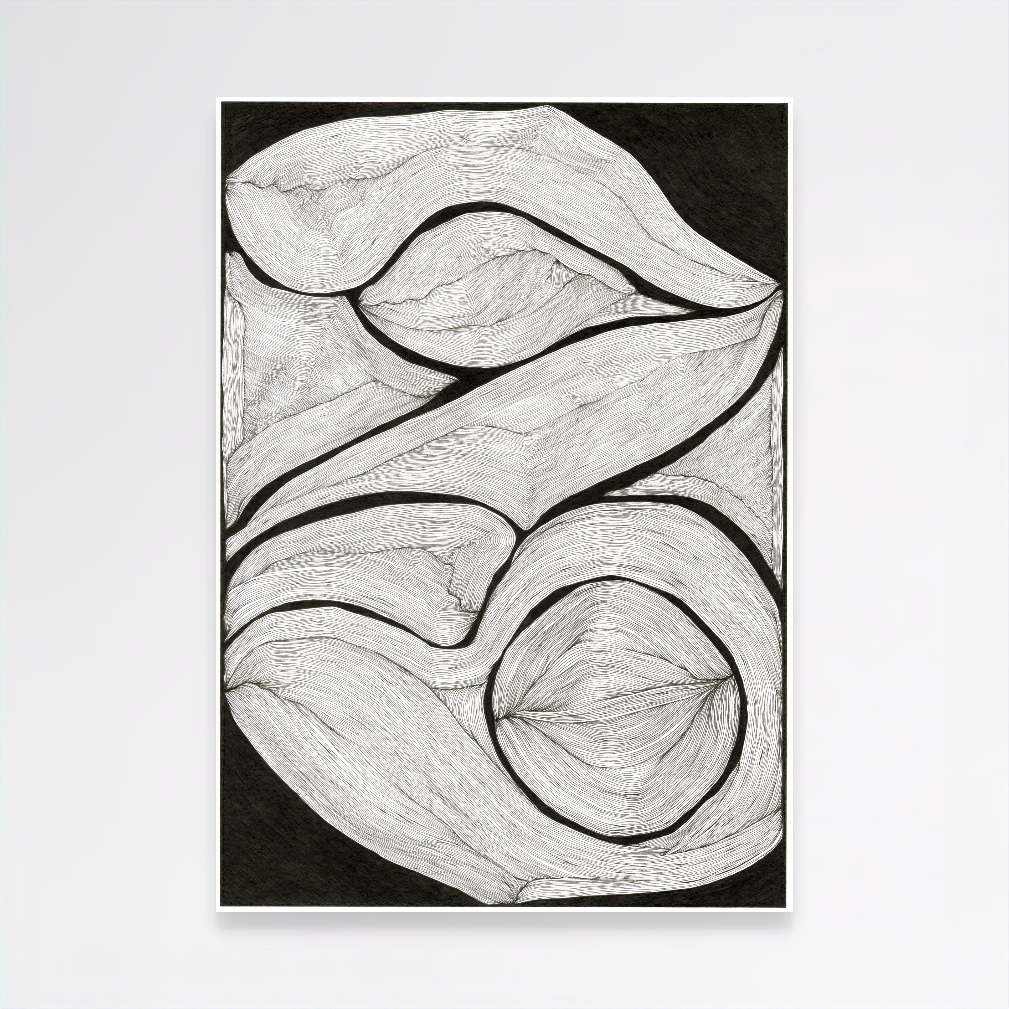 Lines Intertwined – Limited Edition Archival Monochrome Ink Print