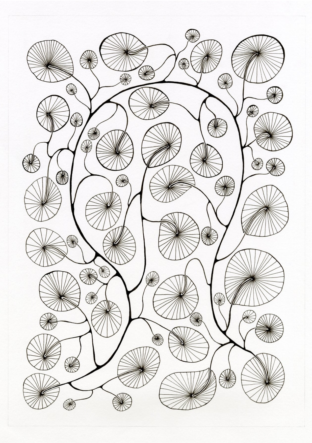 Fanned Fronds