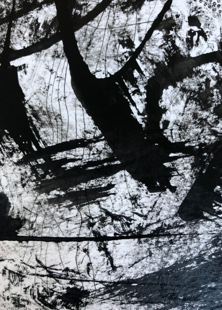 Black and white abstract art with dynamic lines and shapes